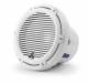 Jl audio M6-8IB Classic White